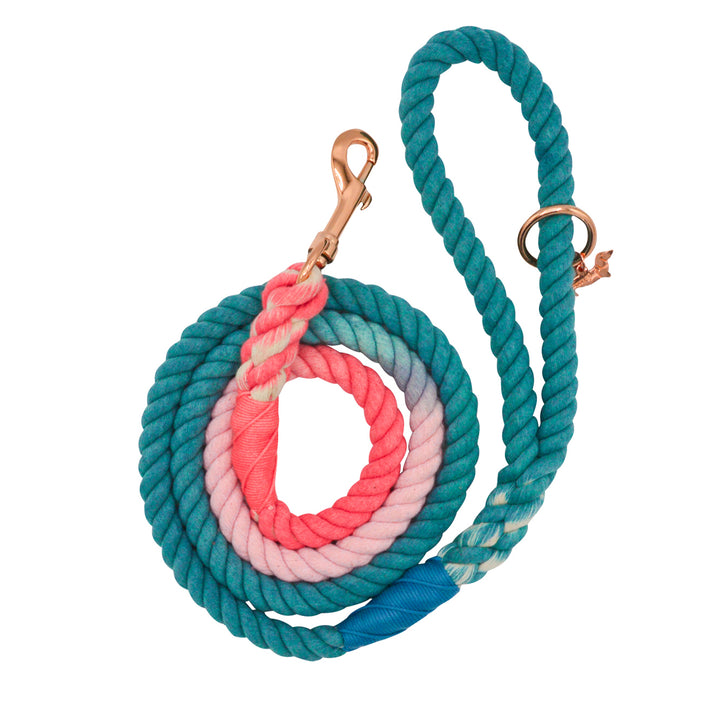 Rope Leash  5 Feet Multi  jack & jill