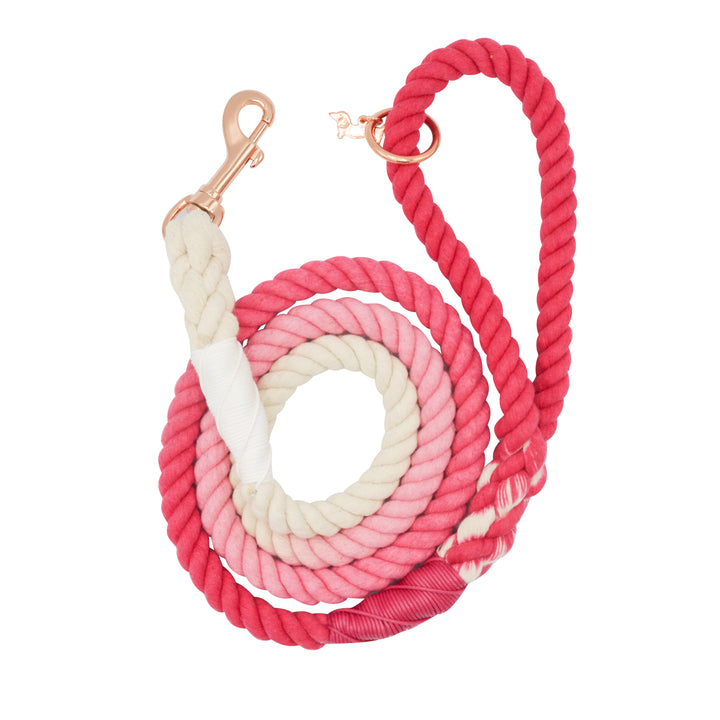 Rope Leash  5 Feet Multi  ombre pink