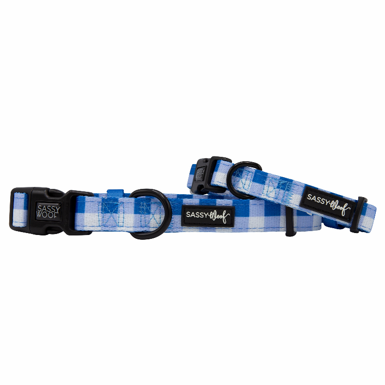 Sassy Woof Dog Collars - Small The Wizard of Paws