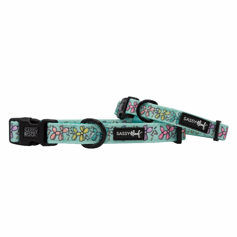 Sassy Woof Dog Collars - Medium Pup Pup Hooray