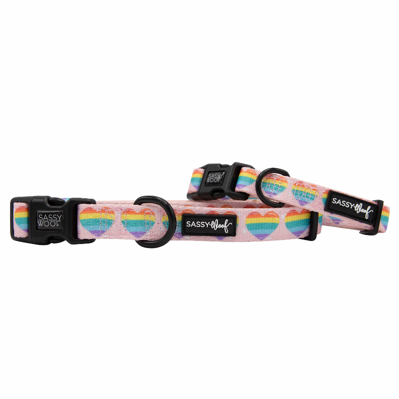 Sassy Woof Dog Collars - Small Paws of Love