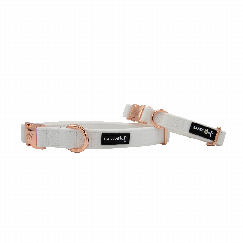 Sassy Woof Dog Collars - Medium I Do, Too (White)