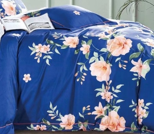 Elizabeth Blue Floral 100% Cotton Reversible 3 pcs Duvet Cover Set Queen/Full