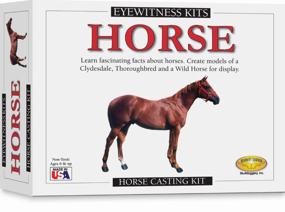 Eyewitness Kit - Horse