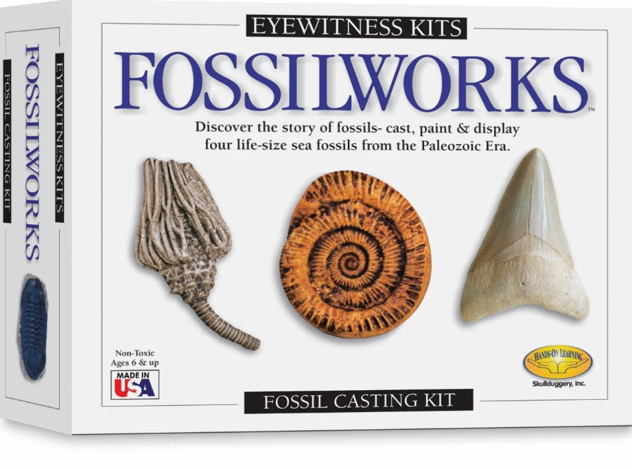 Eyewitness Kit - Fossilworks