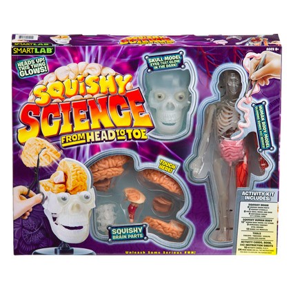 Squishy Science From Head to Toe