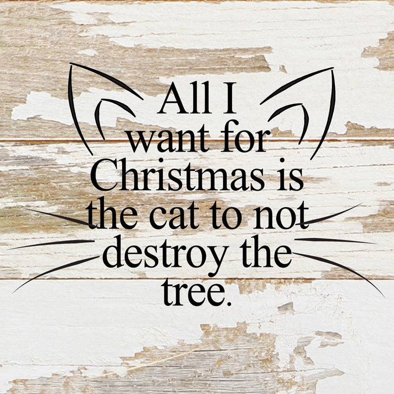 All I want for Christmas is the cat to n... Wall Sign