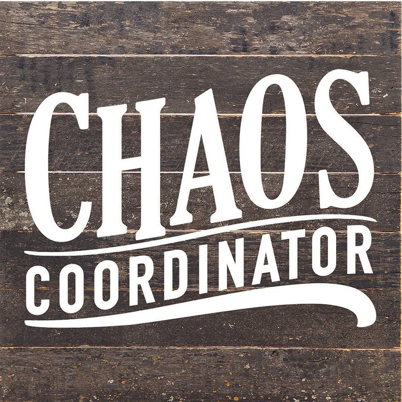 Chaos Coordinator... Wall Sign