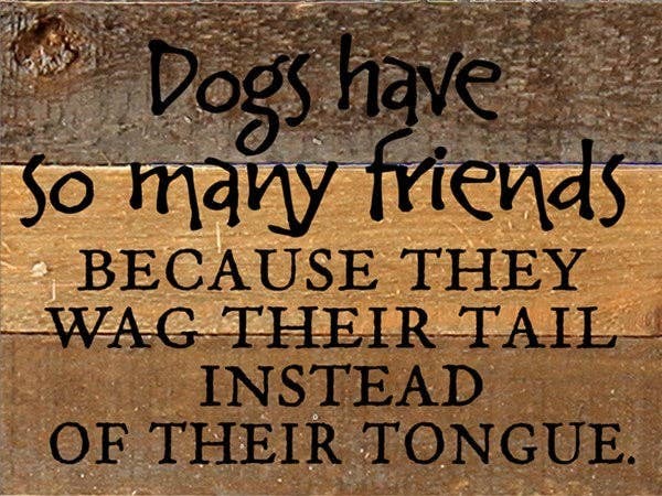 Dogs Have So Many Friends because they w... Wall Sign