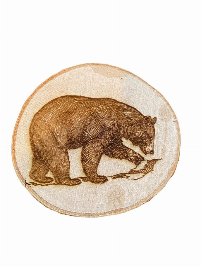 Engraved Birch Log Slice Coasters North American Wildlife 3 1/2"-4 1/2" Diameter Set of Six - Bear