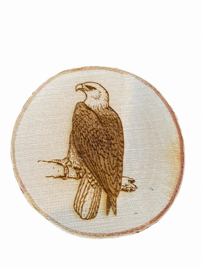 Engraved Birch Log Slice Coasters North American Wildlife 3 1/2"-4 1/2" Diameter Set of Six - Bald Eagle