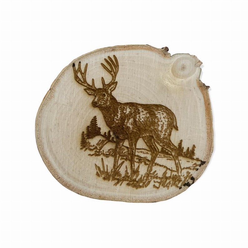 Engraved Birch Log Slice Coasters North American Wildlife 3 1/2"-4 1/2" Diameter Set of Six - Deer