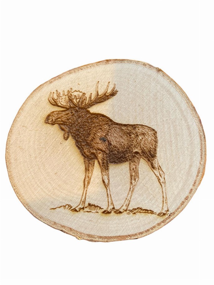 Engraved Birch Log Slice Coasters North American Wildlife 3 1/2"-4 1/2" Diameter Set of Six - Moose