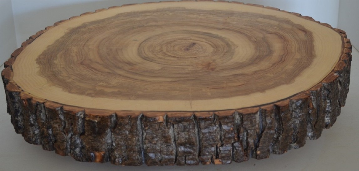 Rustic Slab Charcuterie board, Cake Stand, Cutting Board, Food Serving, or Center Piece, With Legs, With Bark - 16 1/2"-18 1/2"