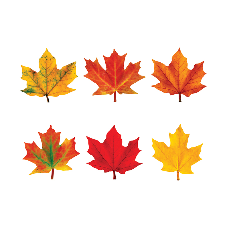 Maple Leaves Mini Accents Variety Pack, 36 ct