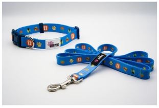 Dog Collar And Leash Set - Small/Medium Beach Blue