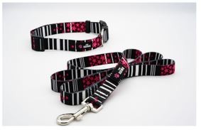 Dog Collar And Leash Set - L Pink Petals
