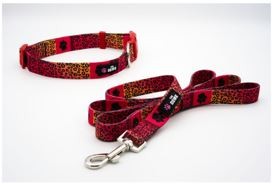 Dog Collar And Leash Set - S Ruff And Rouge