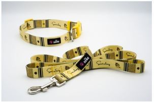 Dog Collar And Leash Set - L Sweet As Honey