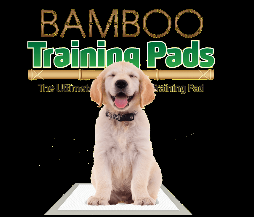 Bamboo Training Pads - 50 count - 5 SAP