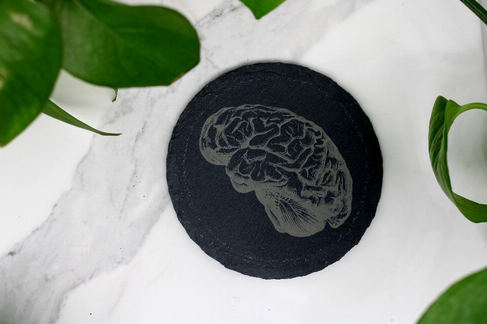 Brain Anatomy Engraved Slate Coaster