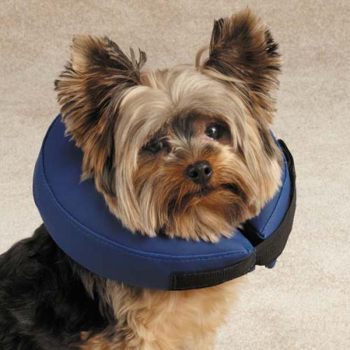 Total Pet Health Inflatable Collar