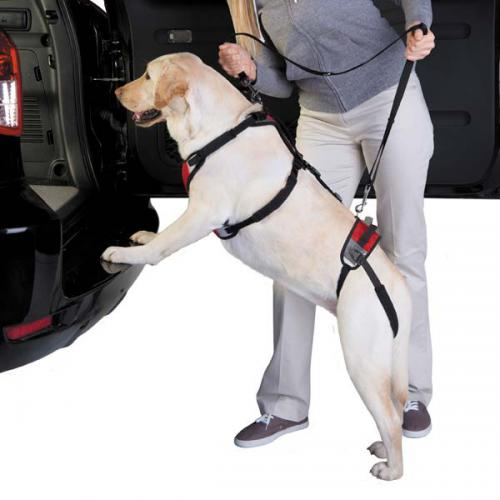 Total Pet Health Lift & Go Lead - Small Red