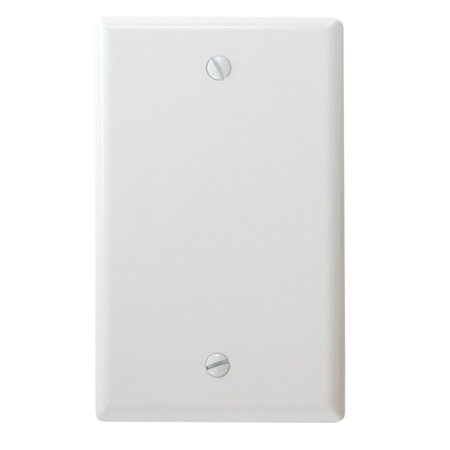 Blank Wall Plate - White