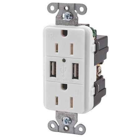 120V Double USB Charger Double Outlet White