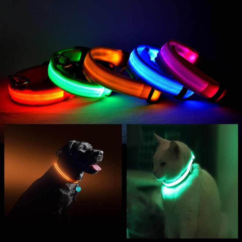 LED PET Safety Halo Style Collar - Medium Orange