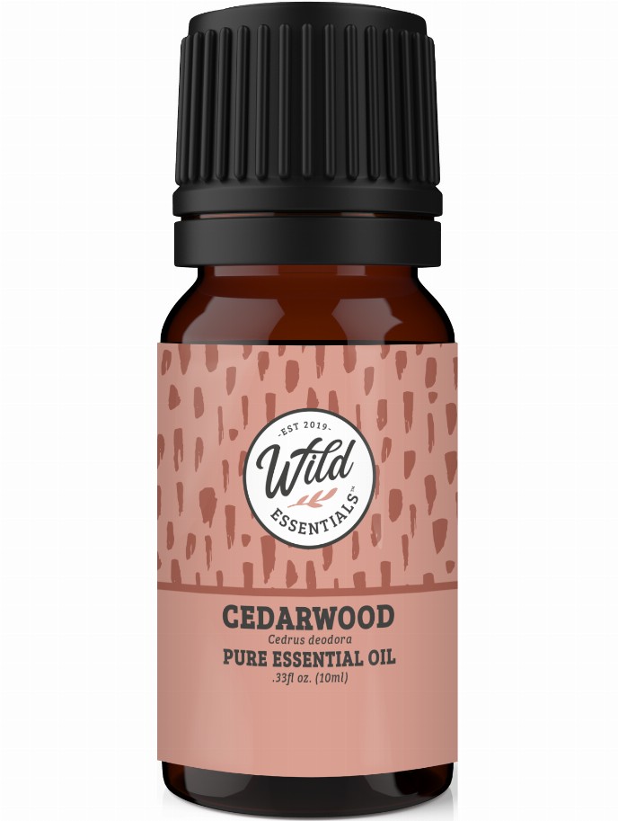Essential Oils (Single Note) - Cedarwood