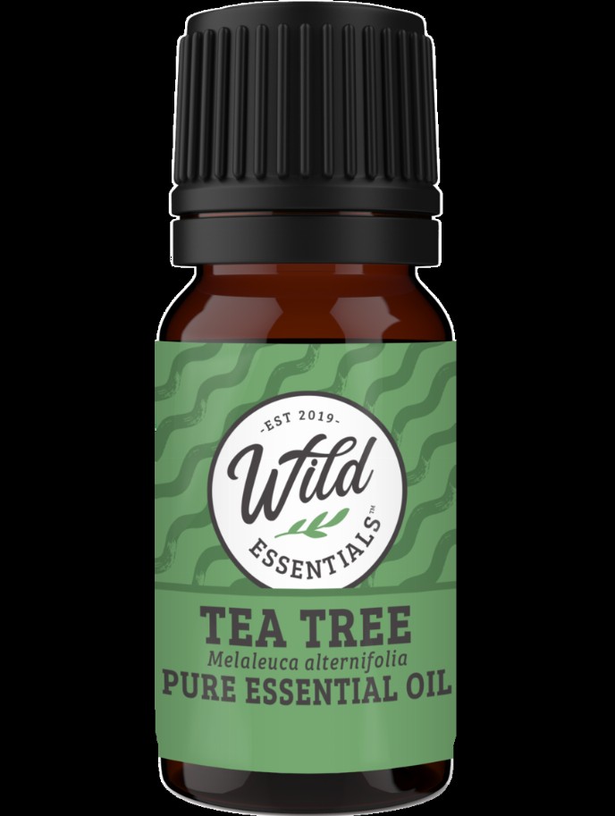 Essential Oils (Single Note) - Tea Tree