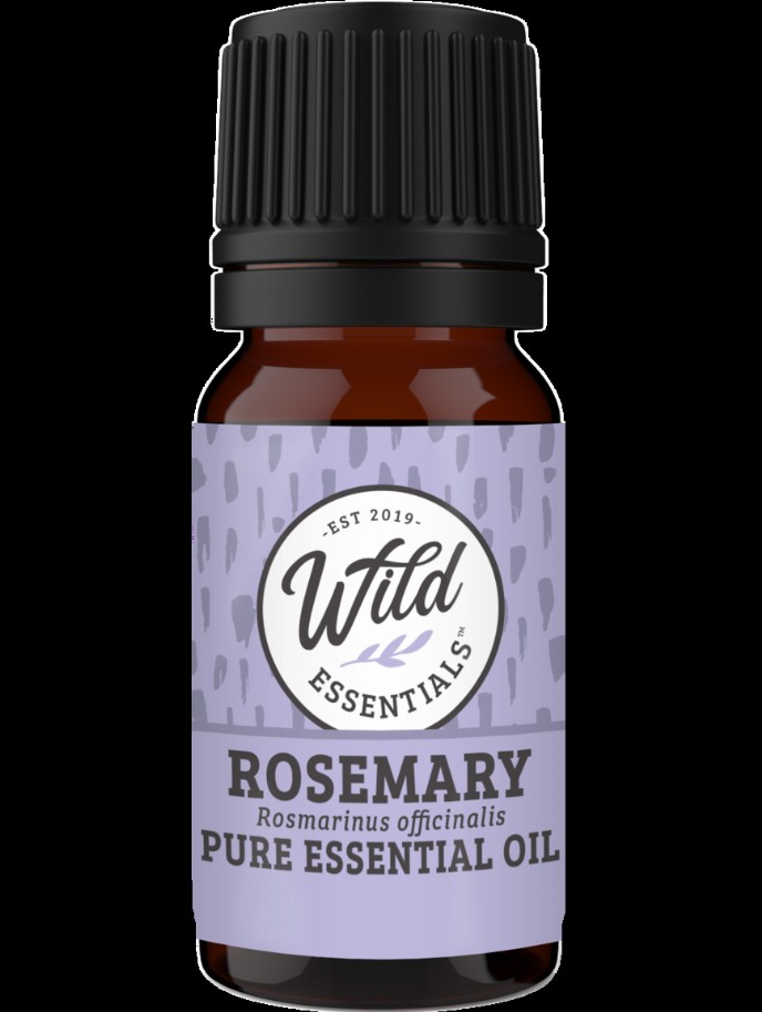 Essential Oils (Single Note) - Rosemary