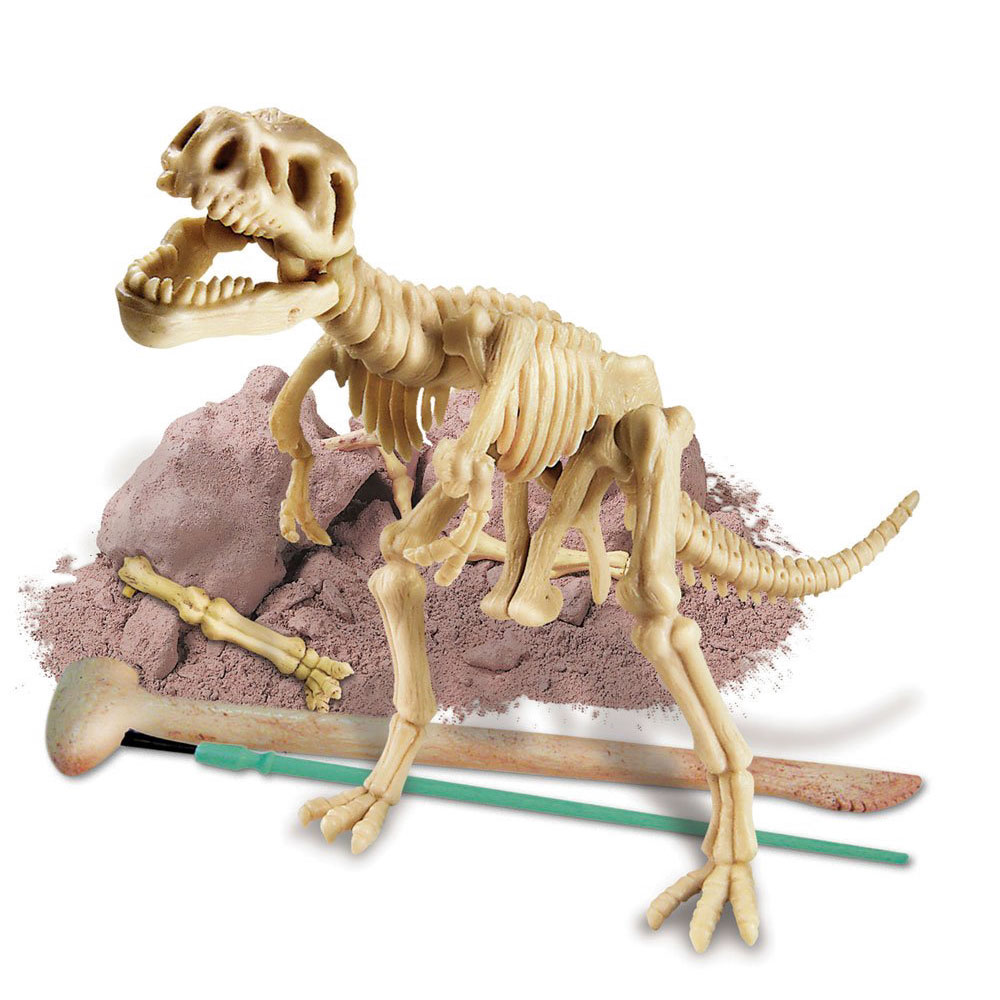 Dig-A-Dino T-Rex Kit