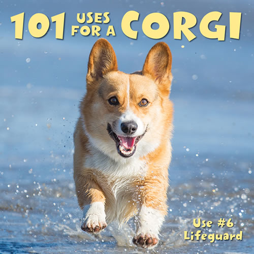 101 Uses For a Corgi