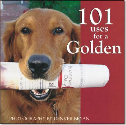 101 Uses For A Golden
