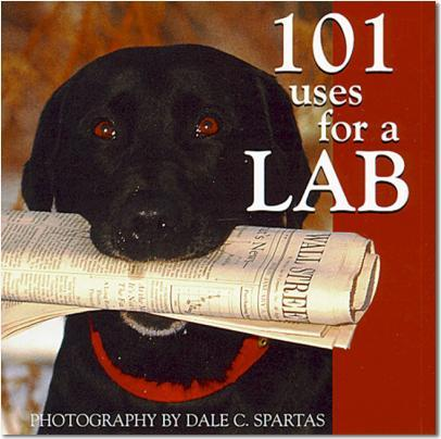 101 Uses For A Lab