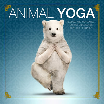 Animal Yoga