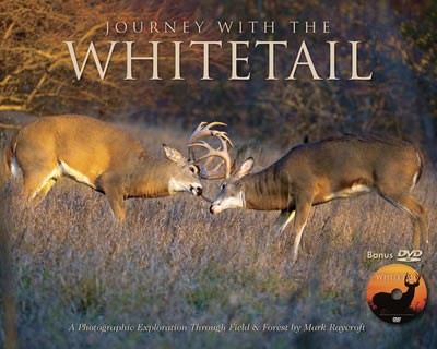 Journey With the Whitetail (w/DVD)