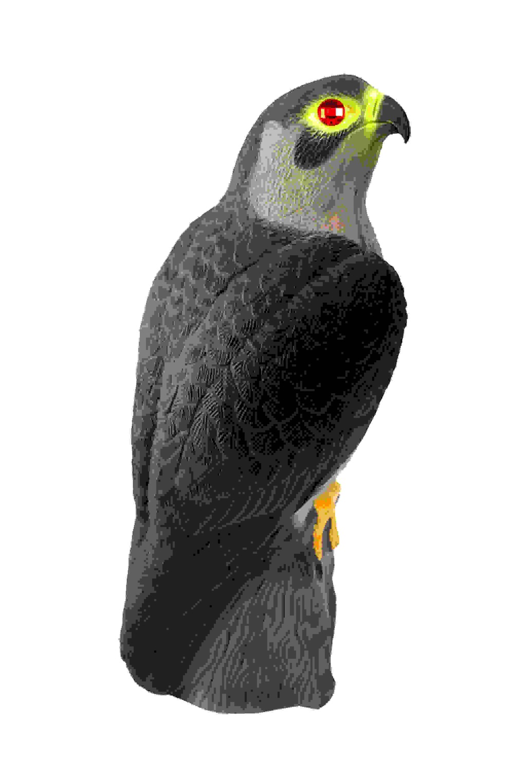 Falcon Decoy Bird Deterrent