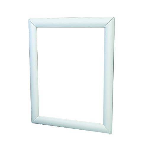 Deflecto Wall-Mount Display Frame - 12.25" x 18.25" Frame Size - Holds 11" x 17" Insert - Rectangle - Vertical, Horizontal - Sat