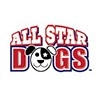All Star Dog