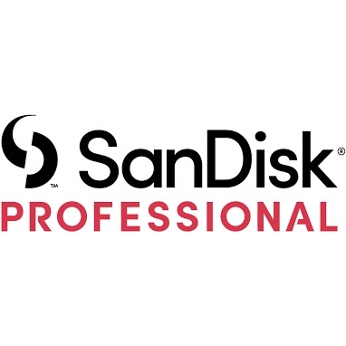 Sandisk Professional