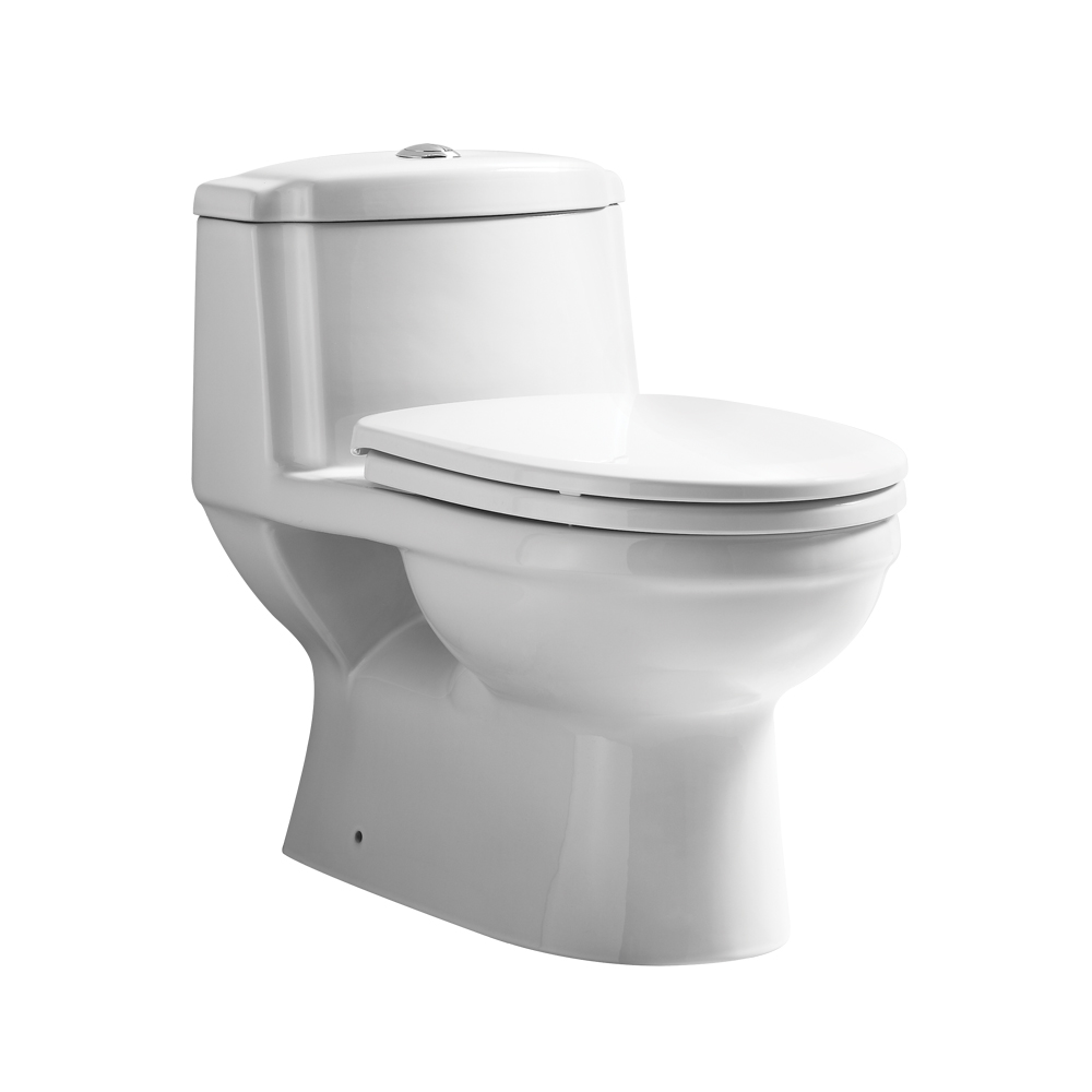 Magic Flush Eco-Friendly One Piece Toilet with a Siphonic Action Dual Flush System,  Elongated Bowl, 1.6/1.1 GPF and WaterSense
