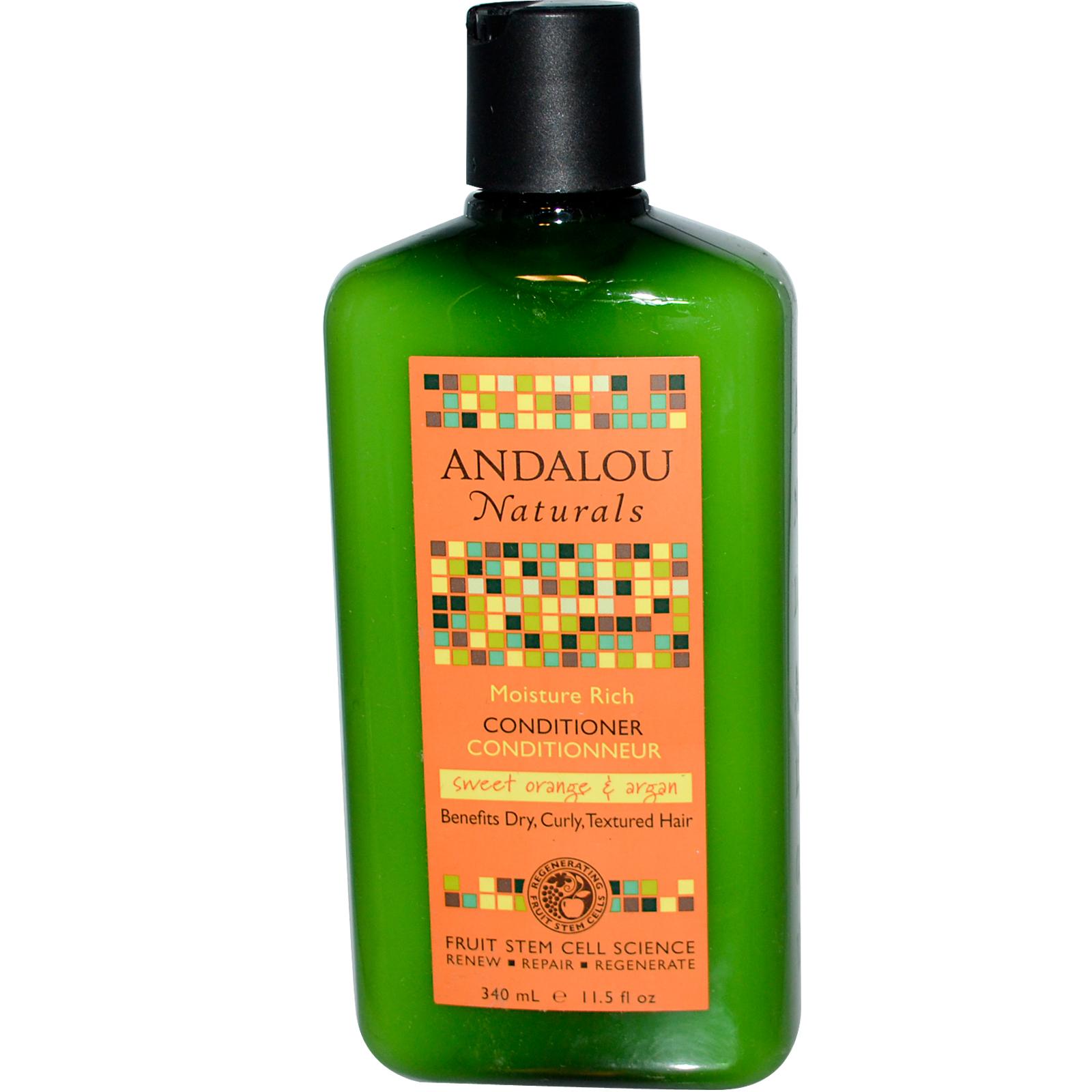 Andalou Naturals Moisture Rich Sweet Orange & Argan Shampoo (1x11.5 Oz)