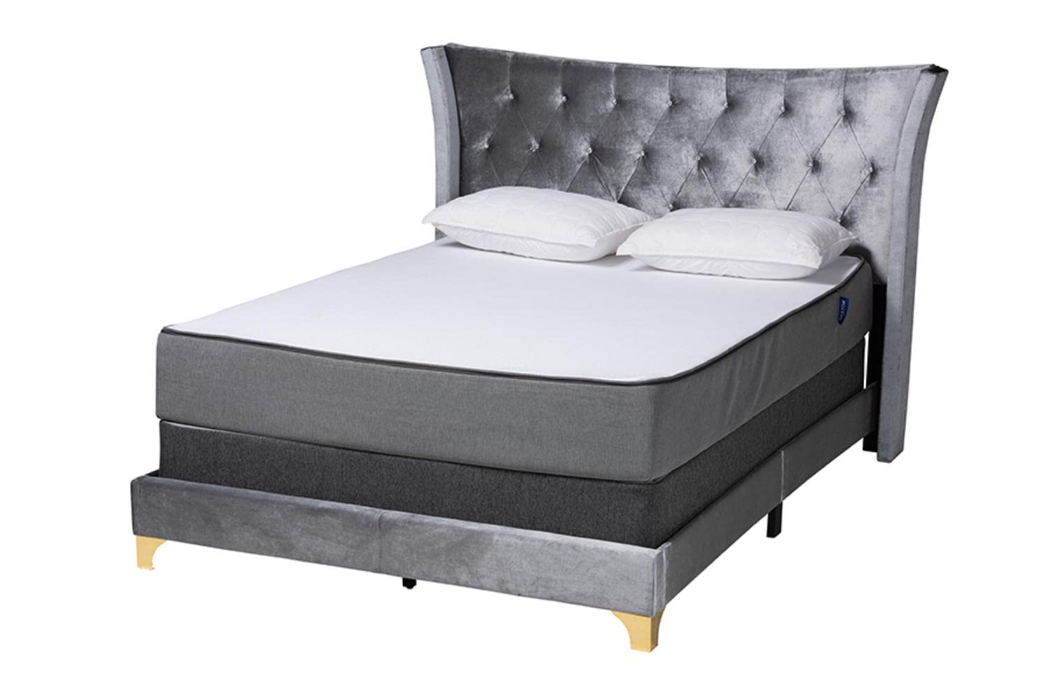 Baxton Studio Easton Contemporary Glam and Luxe Grey Velvet and Gold Metal Queen Size Panel Bed