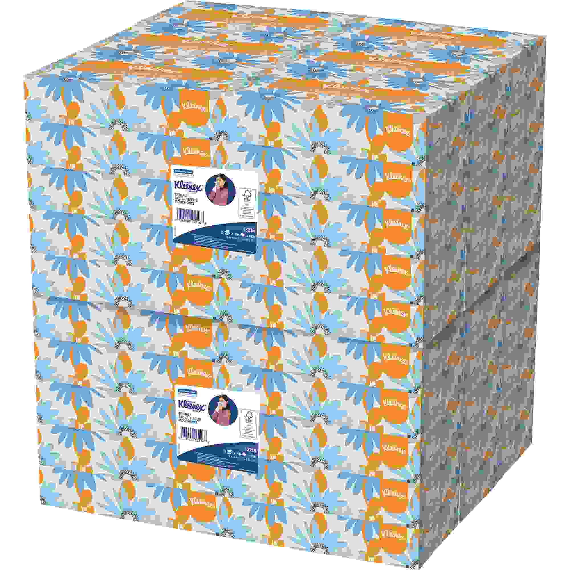 White Facial Tissue, 2-Ply, White, 100/Box, 10 Bx/Bundle, 6 Bundles/Carton