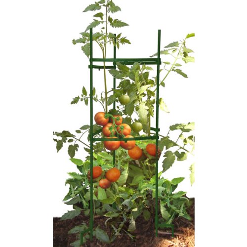 CAGE TOMATO STAKE-IT-EASY