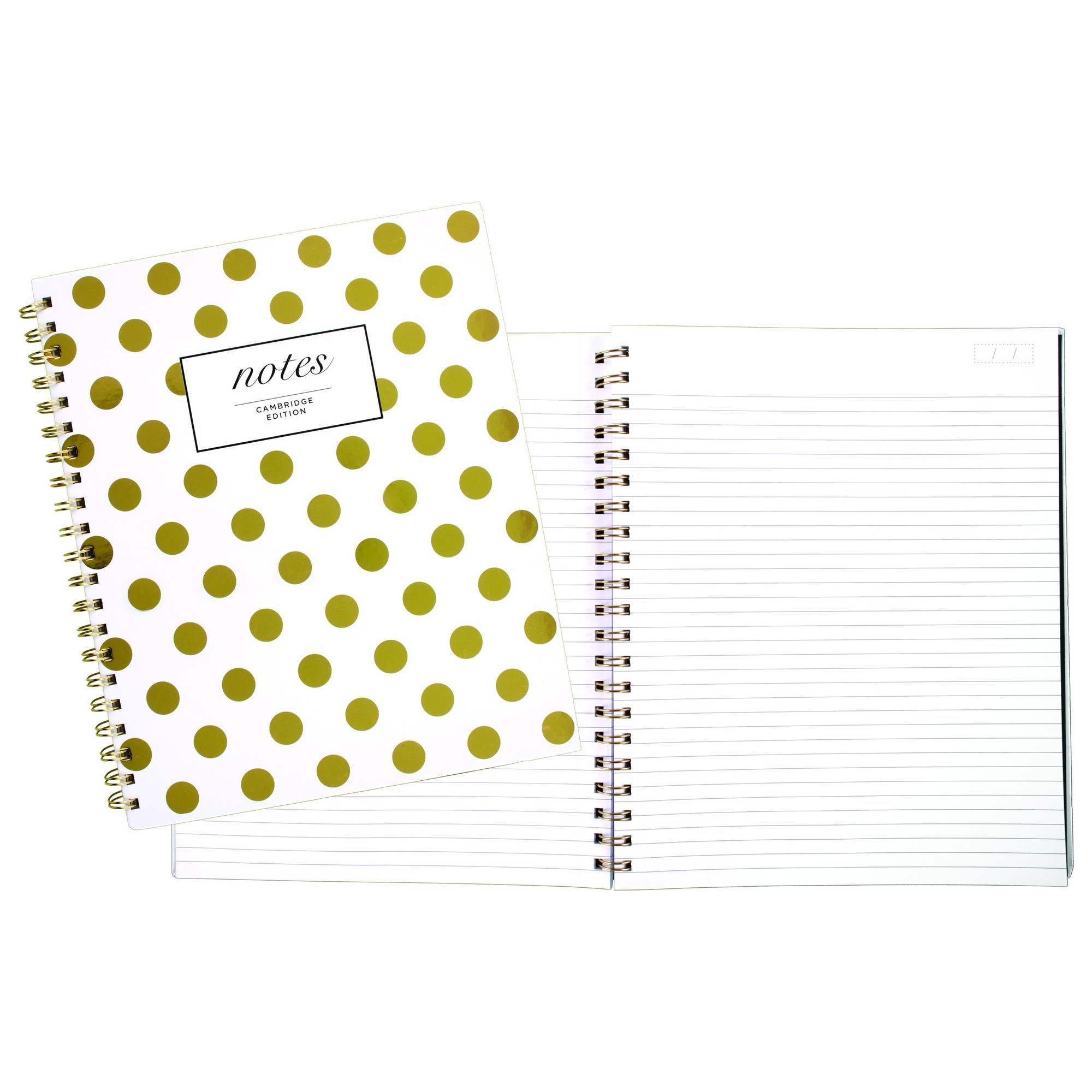 Gold Dots Hardcover Notebook, 11 x 8 7/8, 80 Sheets
