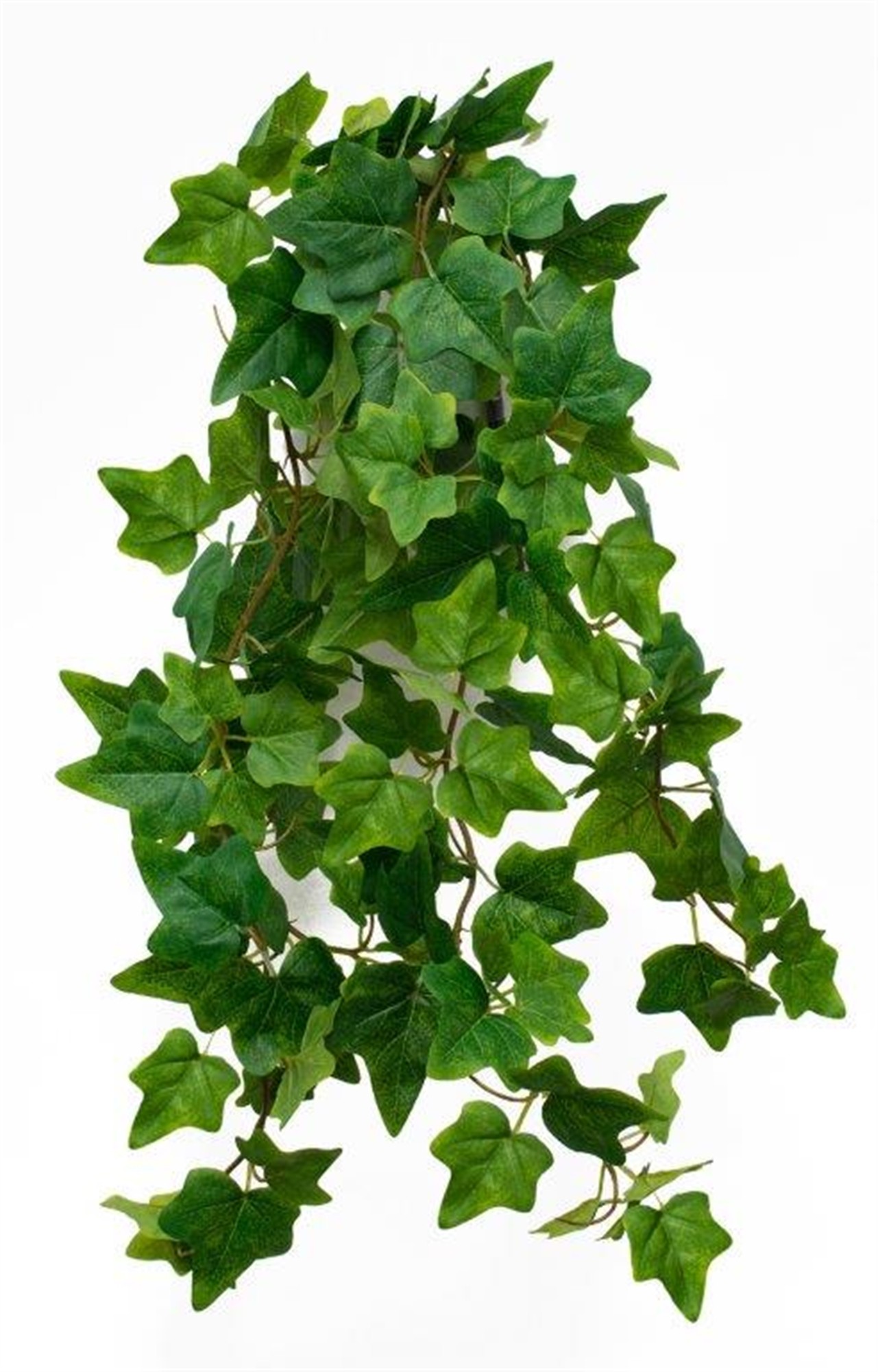 Hanging Ivy Vine 39.5"L Polyester